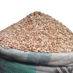 Honey Beans (50Kg Per Bag)