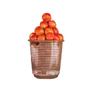 Tomatoe Jos (per basket)